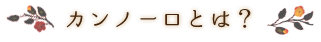 カンノーロとは？